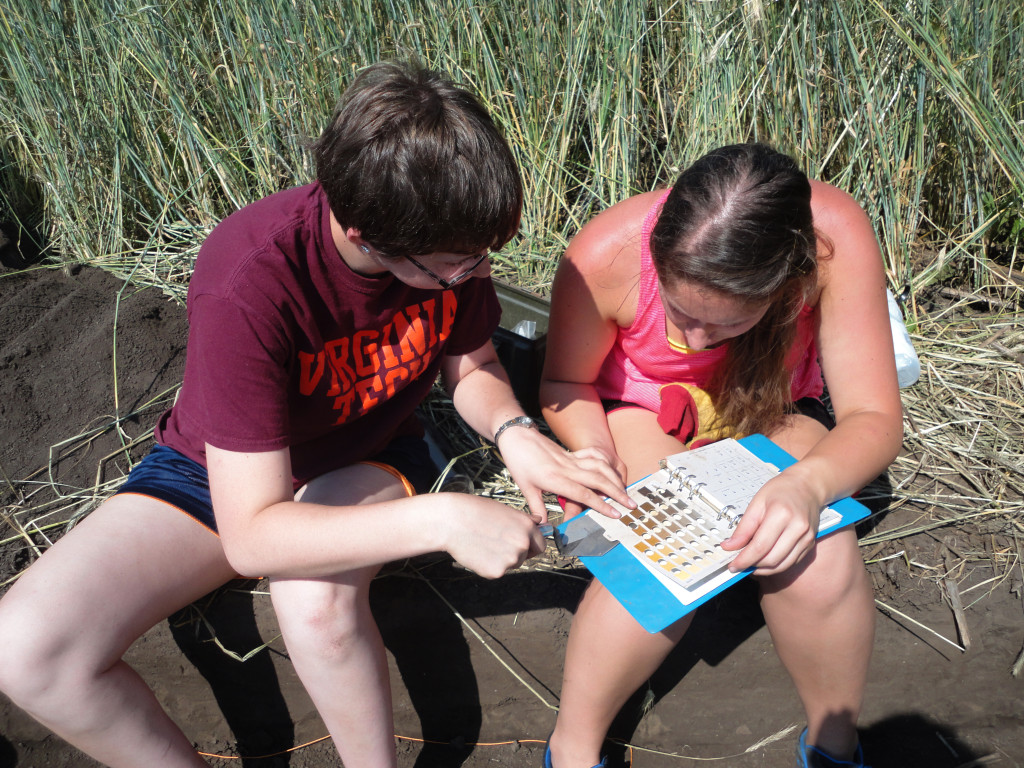 Image of two students looking at a book. 