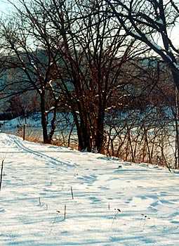 Winter landscape scene