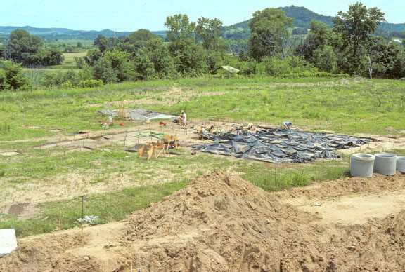 Overview of the Valley View excavation in 1979.