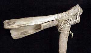 Sinew 