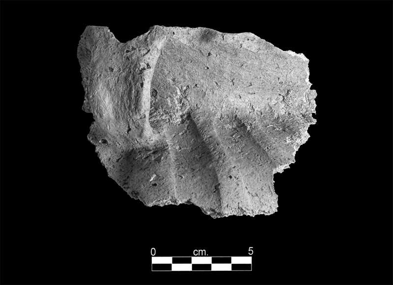 Sand Lake Archaeological District – Oneota Pottery, Koshkonong Bold 