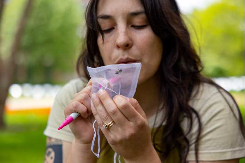 Danielle Hudson, a University of Wisconsin-La Crosse graduate student in biology, has been conducting research on ground nesting bees in early spring outside on the university campus. The bees are typically out until the end of May. 