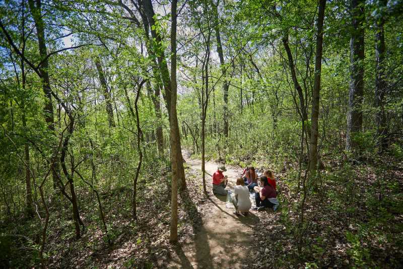 2019 forest bathing experience led by Namyun Kil, UWL associate professor of Recreation Management & Recreation Therapy.