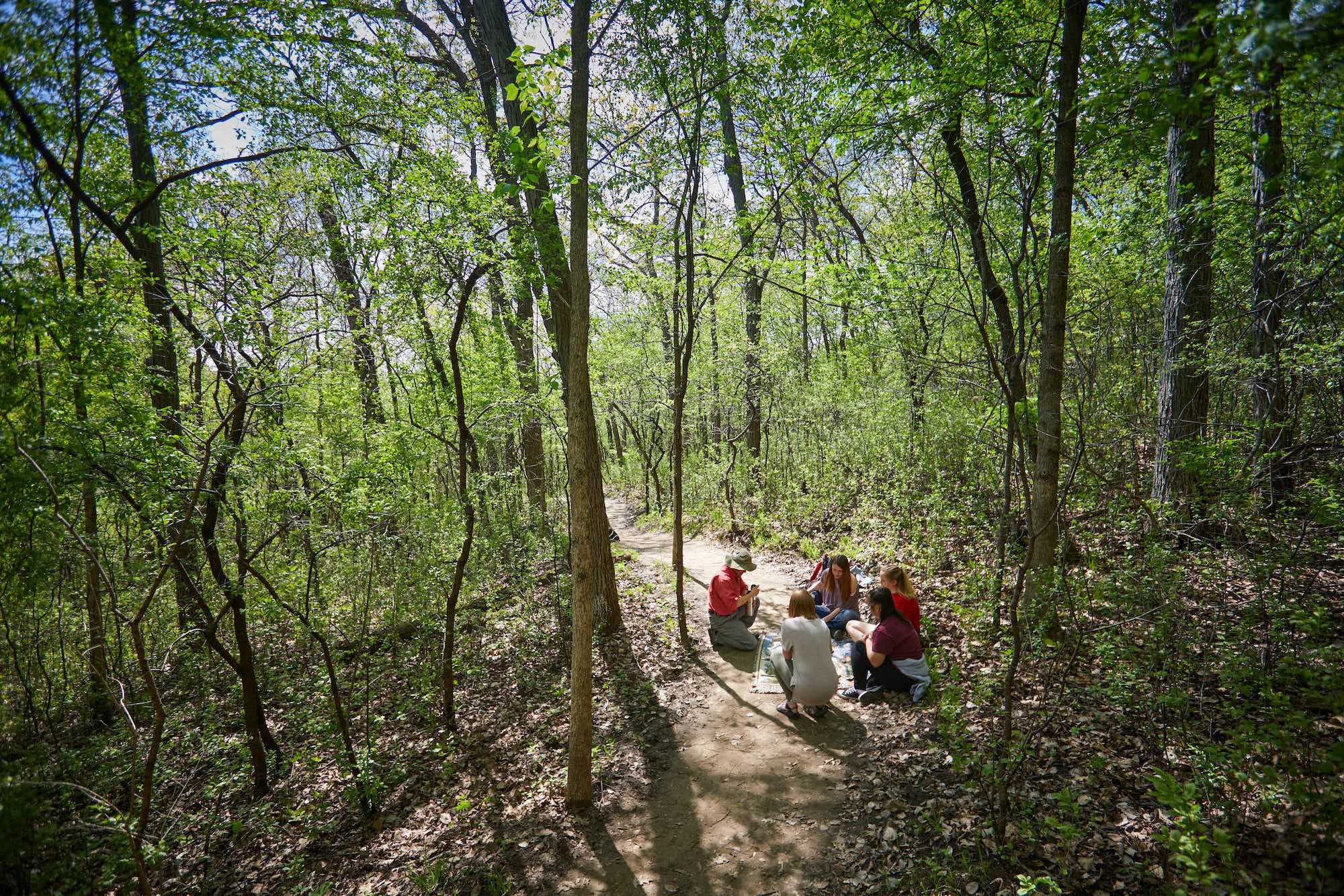 2019 forest bathing experience led by Namyun Kil, UWL associate professor of Recreation Management & Recreation Therapy.