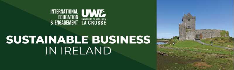 Sustainable Business in Ireland Banner