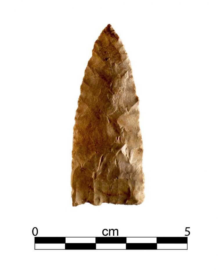 Chert Projectile Point 