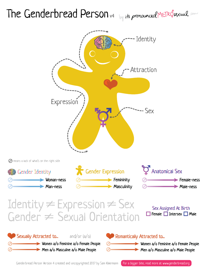 An image of a gingerbread person cookie cutout which was designed as a teaching tool for breaking the concept of gender down into smaller sizes. 