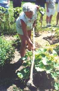 Working in the garden 