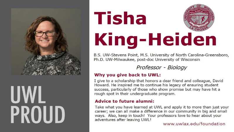 Tisha King-Heiden