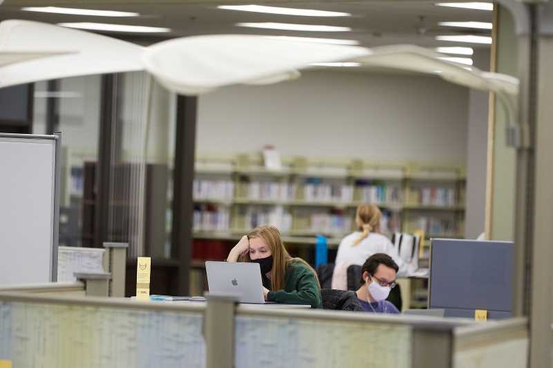 Students studying in Murphy Library