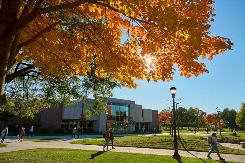 Fall colors outside of Murphy Library