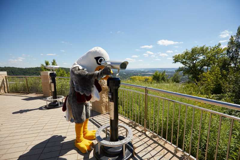Eagle Mascot at Grandad's Bluff