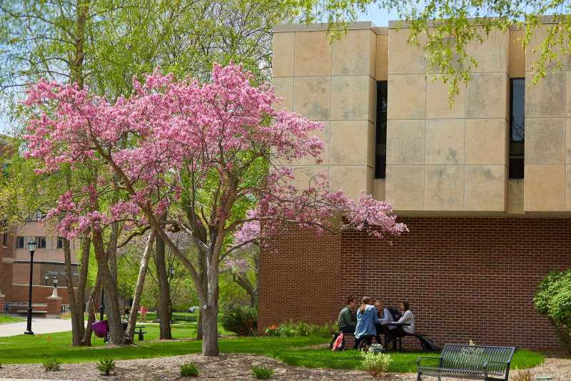 Murphy Library 