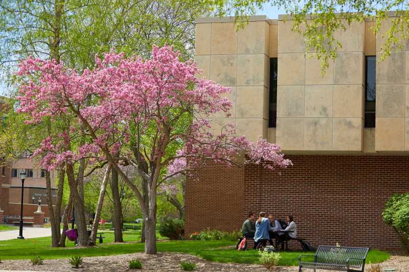 Students studying outside of Murphy Library