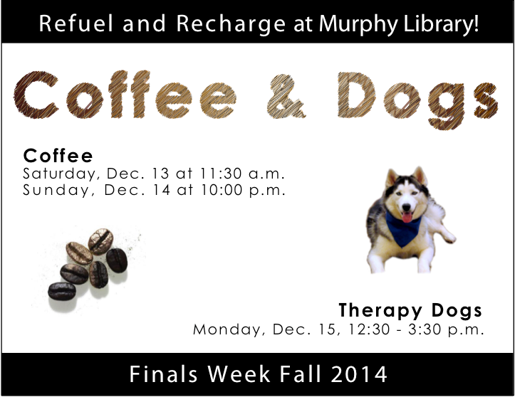 dogsflyer