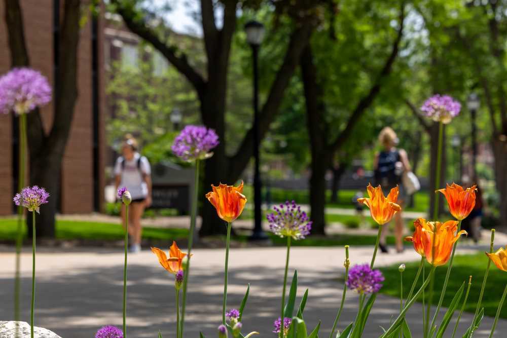 Flowers bloom on the UW-La Crosse campus. 