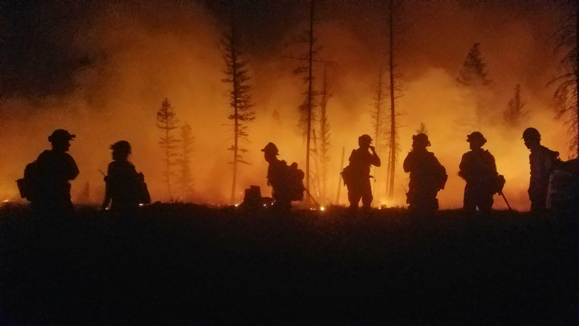 Forest Fire Impact Chain