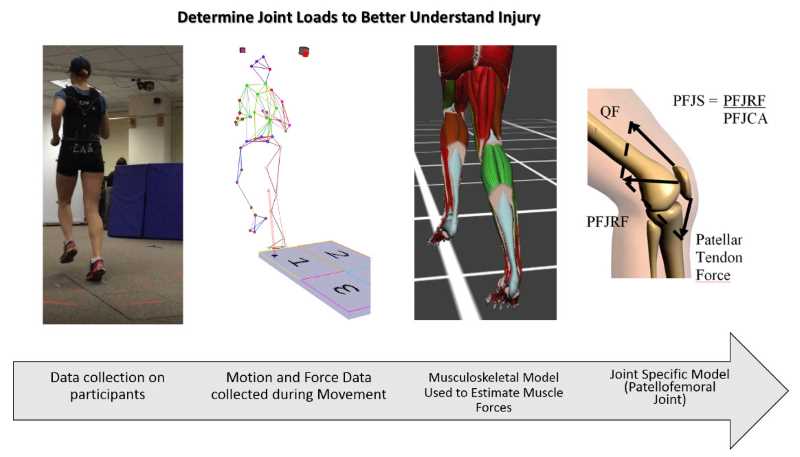 Joint Loads