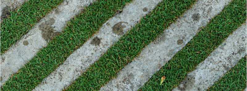 Stripes of grass and concrete on an angle, Photo by Zoshua Colah on Unsplash