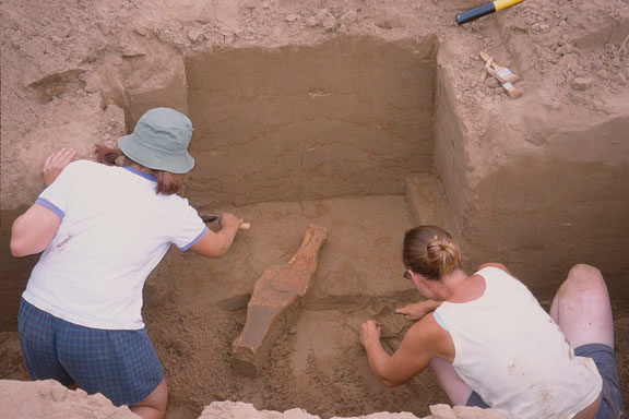 Excavating bison scapula hoes 