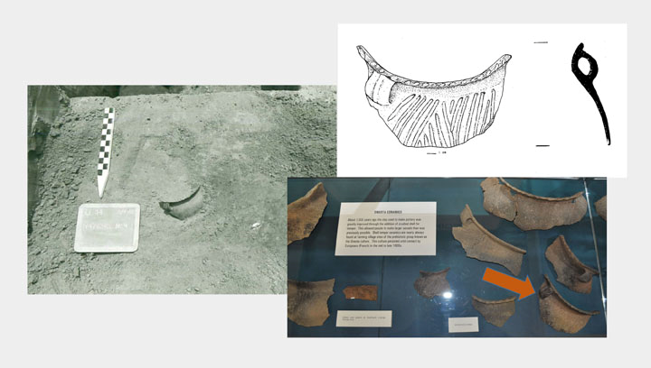 Rim sherd 