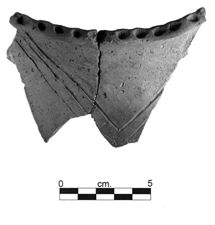 Pot sherd 