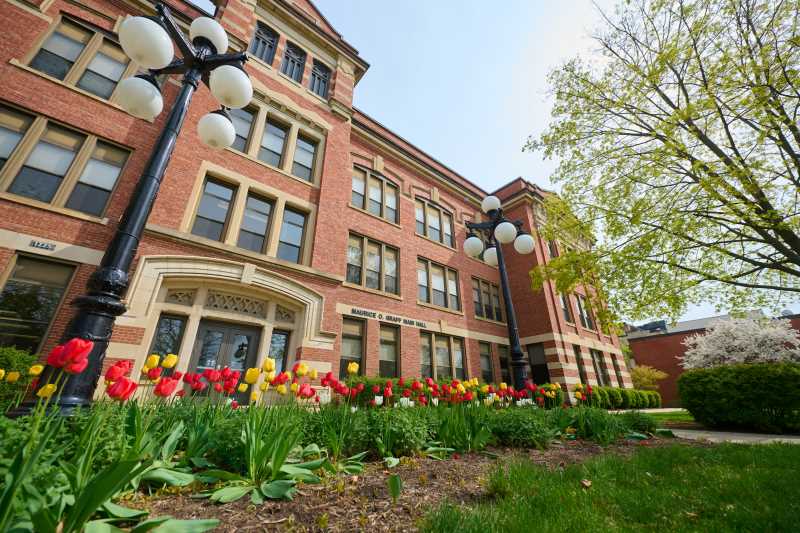 Tulips in front of Graff Main Hall bloom on a sunny day.