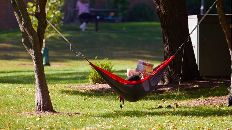Soak in the campus sunshine-safely. 