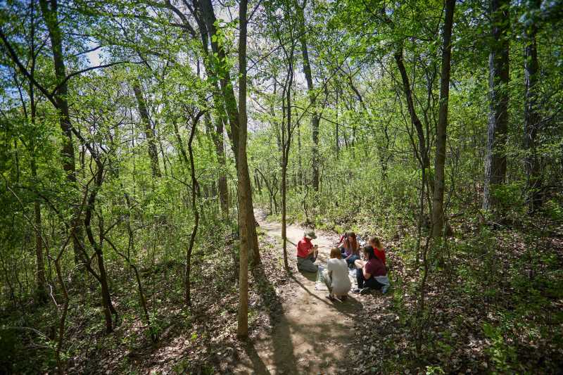 2019 forest bathing experience led by Namyun Kil, UWL associate professor of Recreation Management & Recreation Therapy.