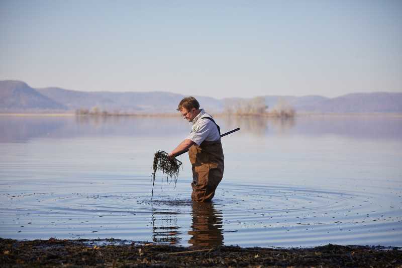 Eric Leis, a parasitologist and fish biologist at the La Crosse Fish Health Center, collects mussel samples from Lake Onalaska. Leis and his team are investigating high mortality rates among freshwater mussels locally and around the world.