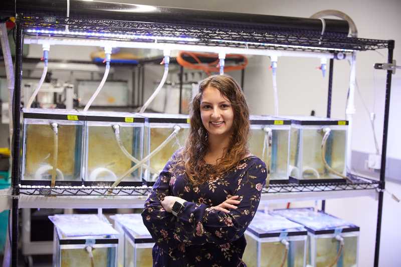 Shayla Michel, a master's biology student at UW-La Crosse, took first place in this year’s 3 Minute Grad Project event. Her research explores how an insecticide commonly used in agriculture is affecting zebrafish and fathead minnows.