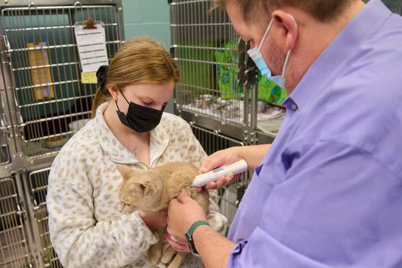 West Salem Veterinarian Cord Brundage, a lecturer in the UWL Biology Department, takes the temperature of a cat held by UWL pre-vet student Ashlynn Lueck. UWL is working with the Coulee Region Humane Society to test a new type of pet thermometer that can be used under a dog or cat’s arm rather than rectally — often a stressful procedure for both pets and their owners.