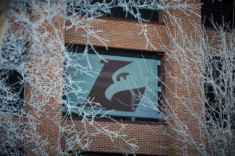 The Eagle L on the Roger Harring Stadium surrounded by frosty tree limbs.