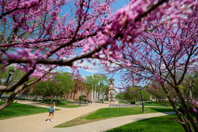 A student walks toward Hoeschler Tower.