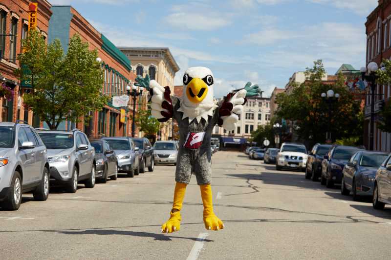 Stryker is one of the state college mascots in a contest to name this year’s peregrine falcons being hatched at We Energies and WPS power plants this spring.