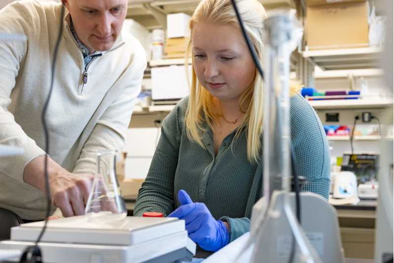 Adam Schneider, UWL assistant professor of biology, works with his research assitant Ellie Euler, a senior at Holmen High School, to better understand branched broomrape, an invasive weed that is a menace in tomato farm fields.