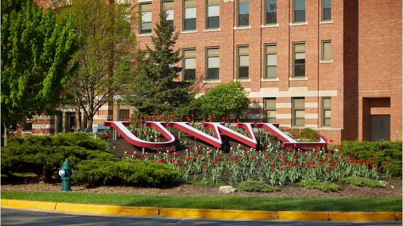 UWL faculty have been recognized for their efforts to support students inside and outside the classroom.