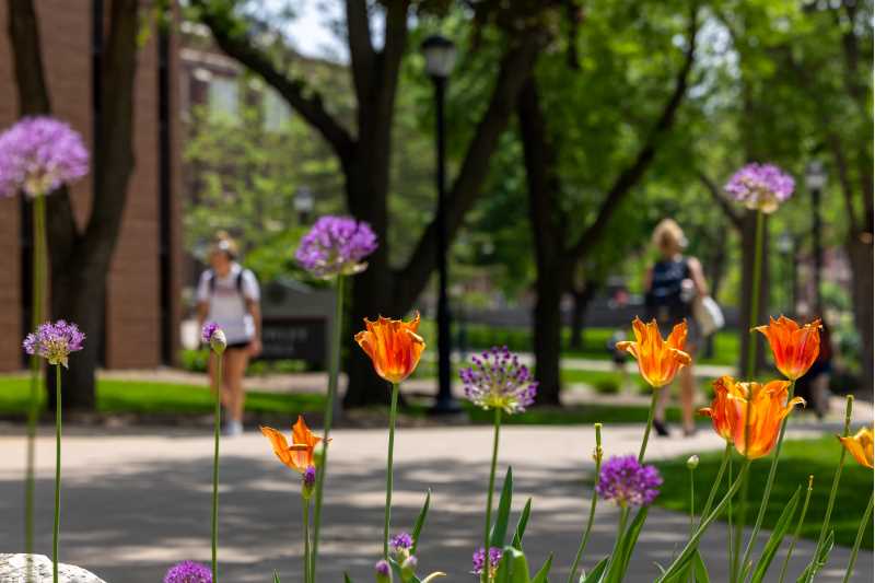 Flowers bloom on the UW-La Crosse campus.