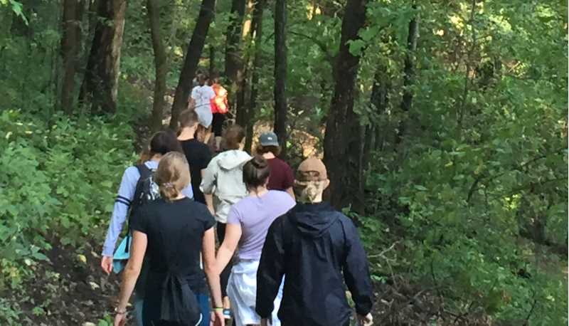  Forest bathing is the practice of immersing oneself outdoors while using multiple senses such as sight and touch to reconnect. 