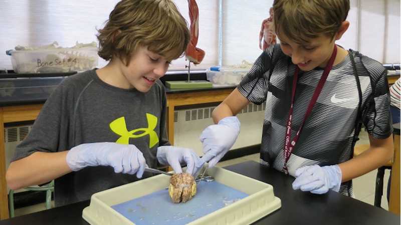 UWL Extended Learning collaborates to offer lifelong learning opportunities, professional development workshops and conferences and much more throughout the year. The Boys’ Science Exploration is one of many popular youth programs offered through UWL Extended Learning.
Read more →