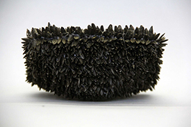 Black sunflower seed artwork.