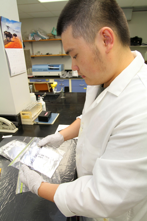 River Studies Fish Study July 2012 UW-L student Yang Liu working in lab