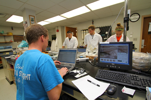 River Studies Fish Study July 2012 UW-L student Patrick Schulze enters fish measurements into the computer as UW-L students from left, Yang Liu, Greg Perrine and Laura Jacobson take measurements.