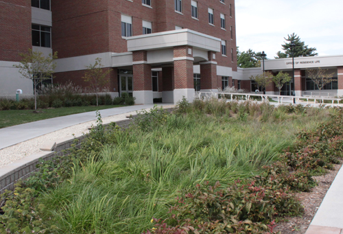 Bio-infiltration basin on the east side of Eagle Hall.