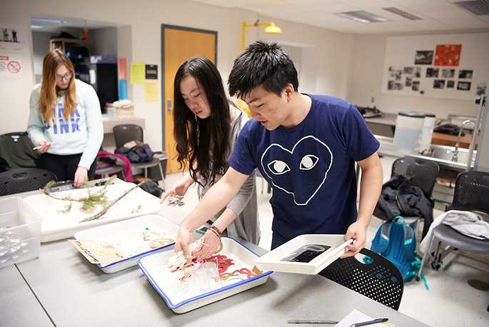 Student participate in Creative Imperatives during the 2016 festival.
Read more →
