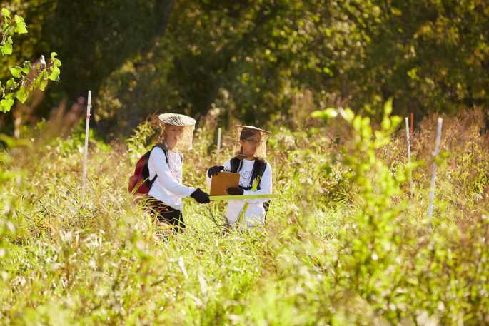 First Year Research Experience students work in a field on the southside of La Crosse last fall.
Read more →

