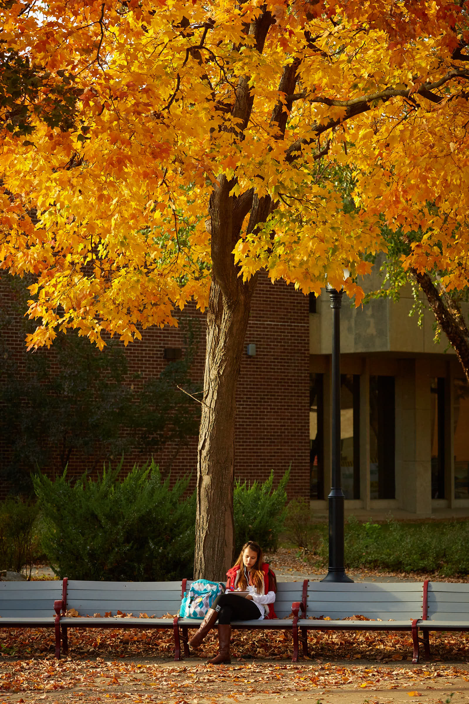 2016_uwl_fall_student_life_704