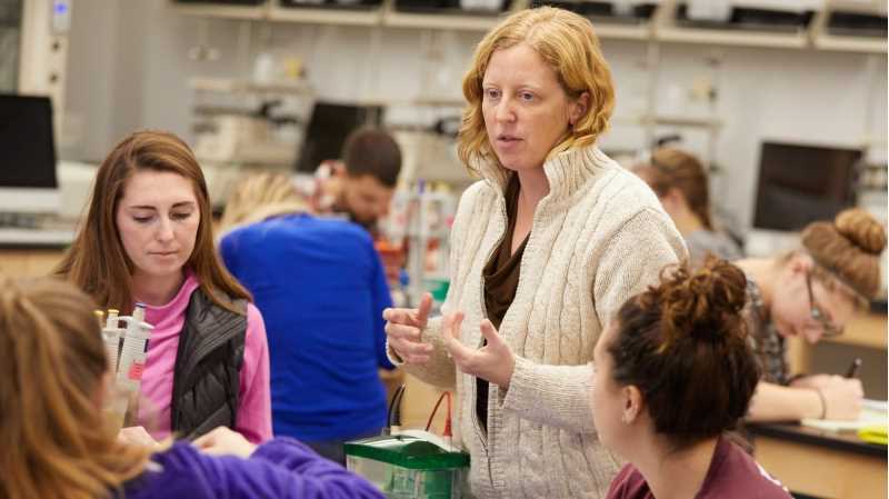 UW-La Crosse chemistry and biochemistry professor Kelly Gorres talks with students in this 2018 file photo. Teaching remotely this spring, Gorres and other faculty in the department asked students to create mock grant proposals aimed at better understanding the coronavirus’ chemical structure and replication process.
Read more →
