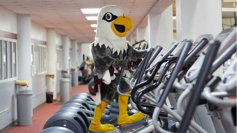 Check out Rec Sports social media channels for ways to stay engaged and active.
Read more →
