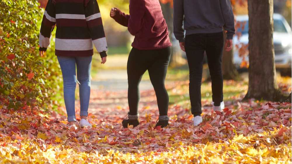 UWL employees tracked more steps than any school in the UW System.
Read more →
